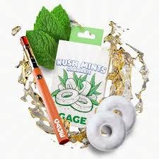 Product: Gage | Vape Cart - 1g - Kush Mints