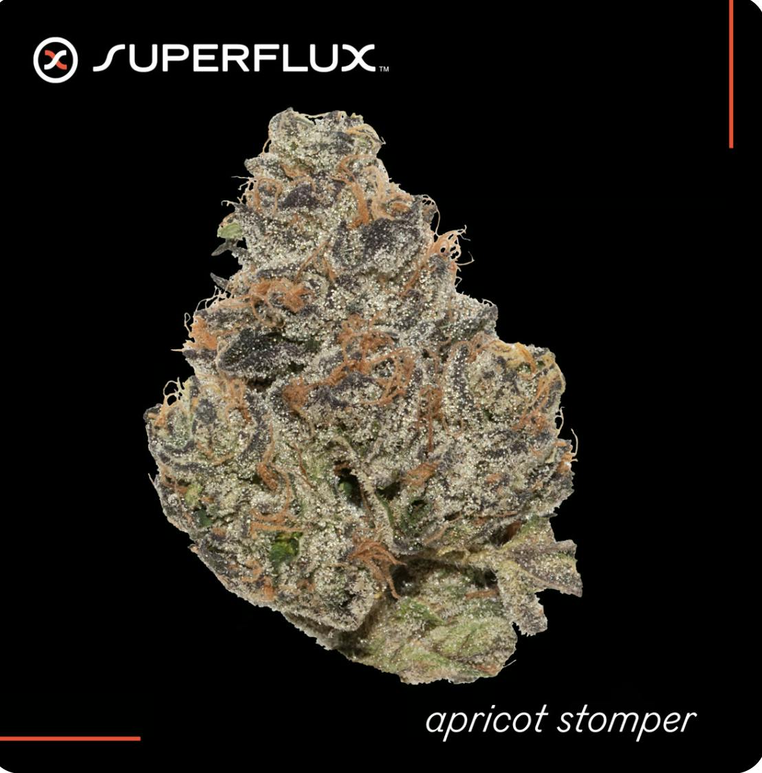 Apricot Stomper Sativa [2.83g] Terrasana Cannabis