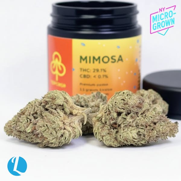 Mimosa⭐︎ Buy MIMOSA (1 OZ) Online | FREE Delivery Available