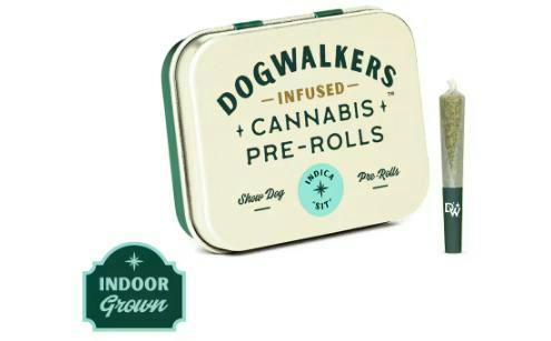 Dogwalkers | Mystic Mint | Infused Pre-Rolls | 12pk 5.4g