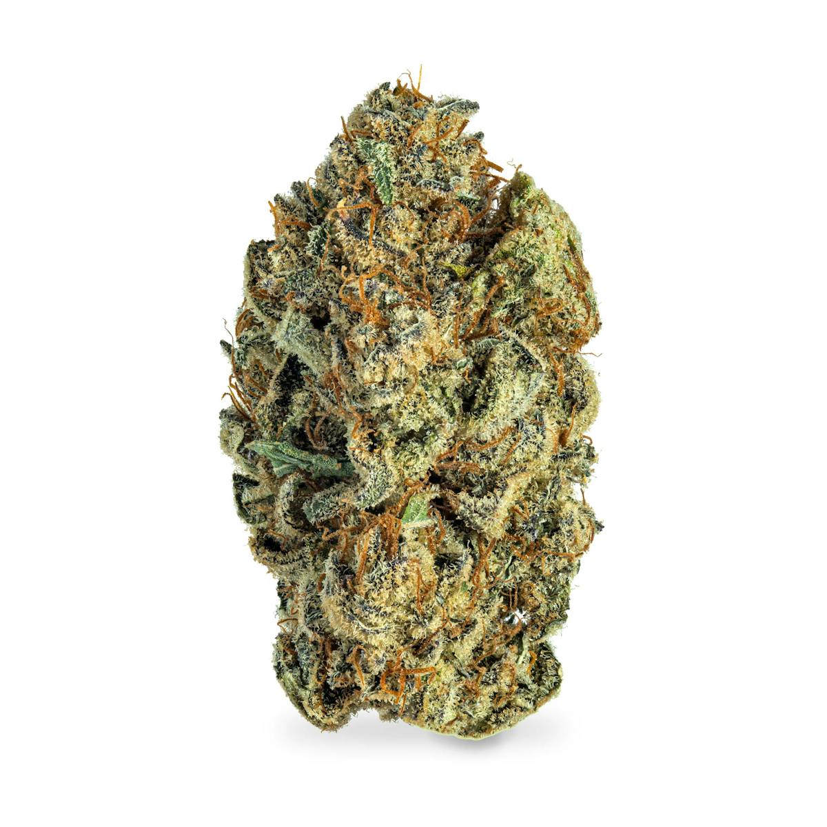 Photo of Grimm Glue