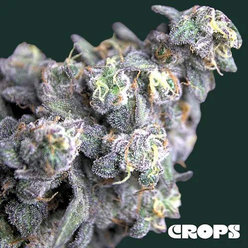 Crops | Preroll | Secret Meetings | 1g-1