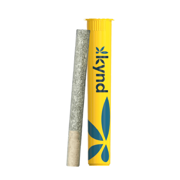 Fried Ice Cream (I) - 1g Pre Roll - Kynd