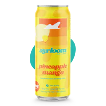 Ayrloom - 10mg THC 5mg CBD Infused Beverage - Pineapple Mango