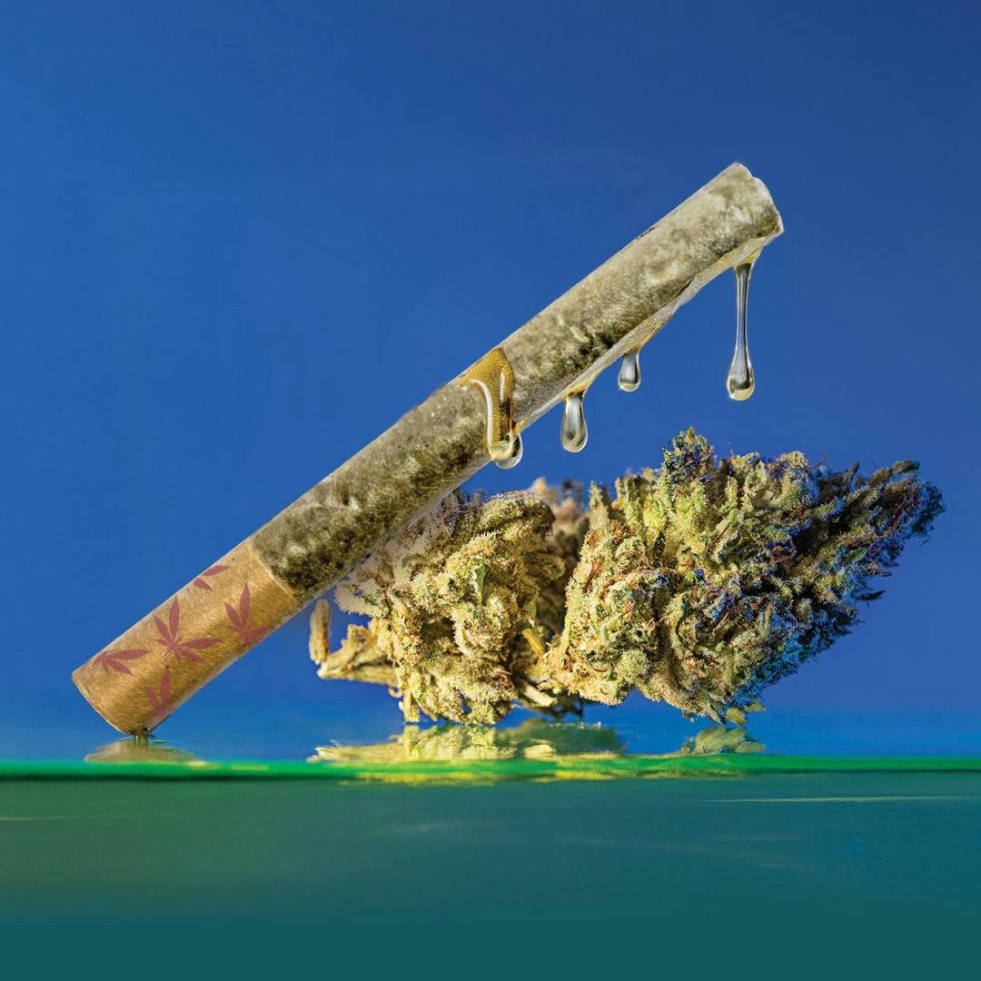 Product: Grasshopper | GG3 1g Resin Infused Pre-Roll
