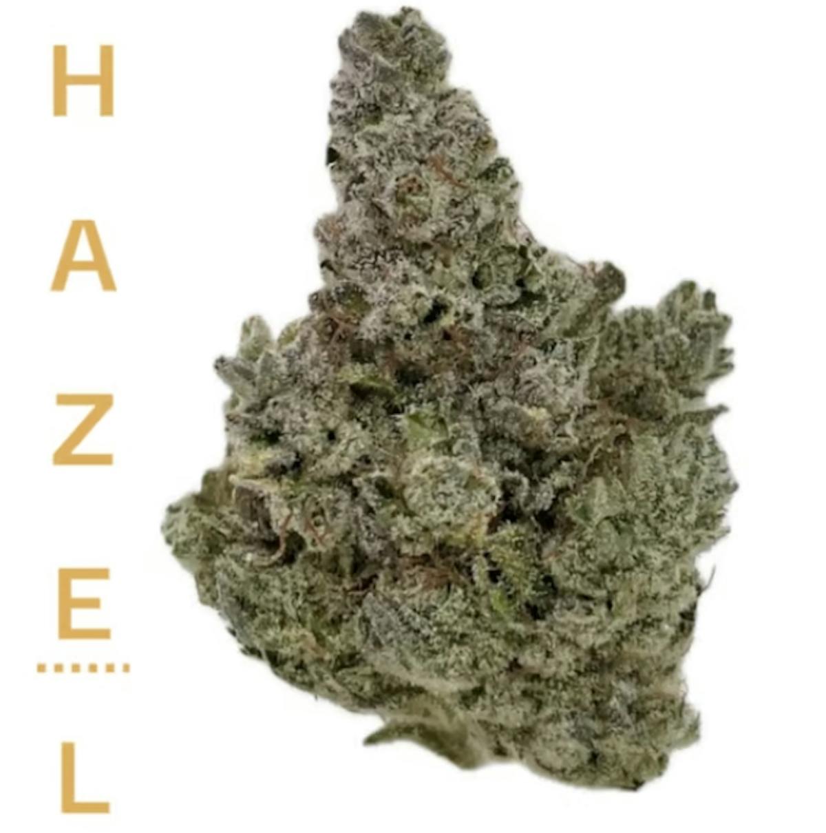 Photo of GG4 3.5g Flower Hazel