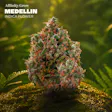 Medelin Pre-Pack