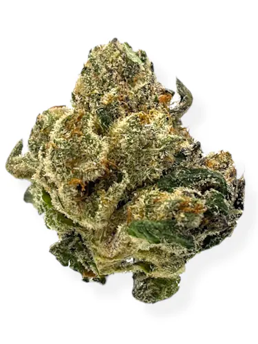 Glorious Chem Runtz Rec-active