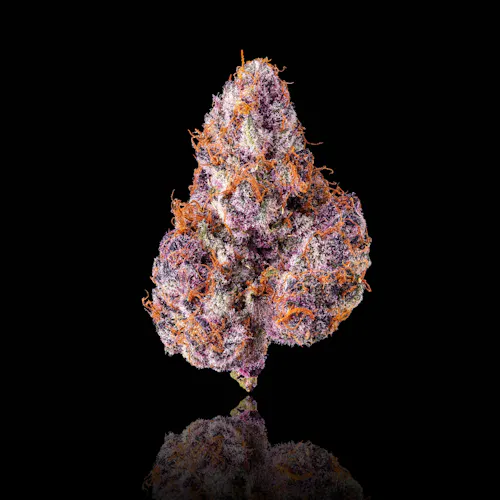 Lemon Cherry Tropicana [3.5g]-1