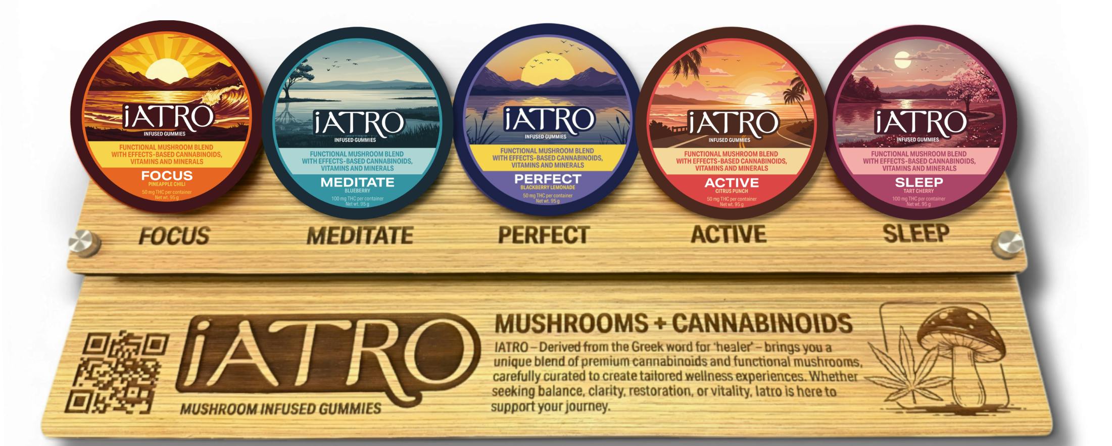 iATRO l Func. Mushroom Gummie l MEDITATE BLUEBERRY 100MG