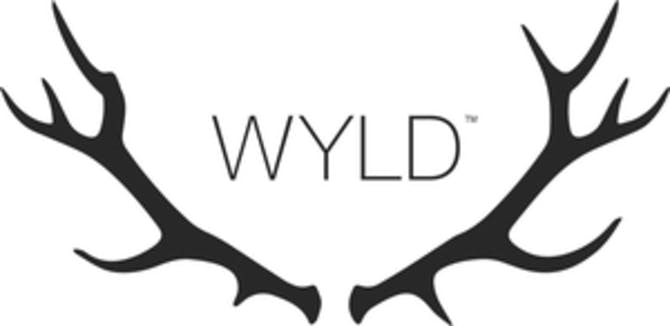 Photo of Wyld | Strawberry 20:1 Gummies | 100mg