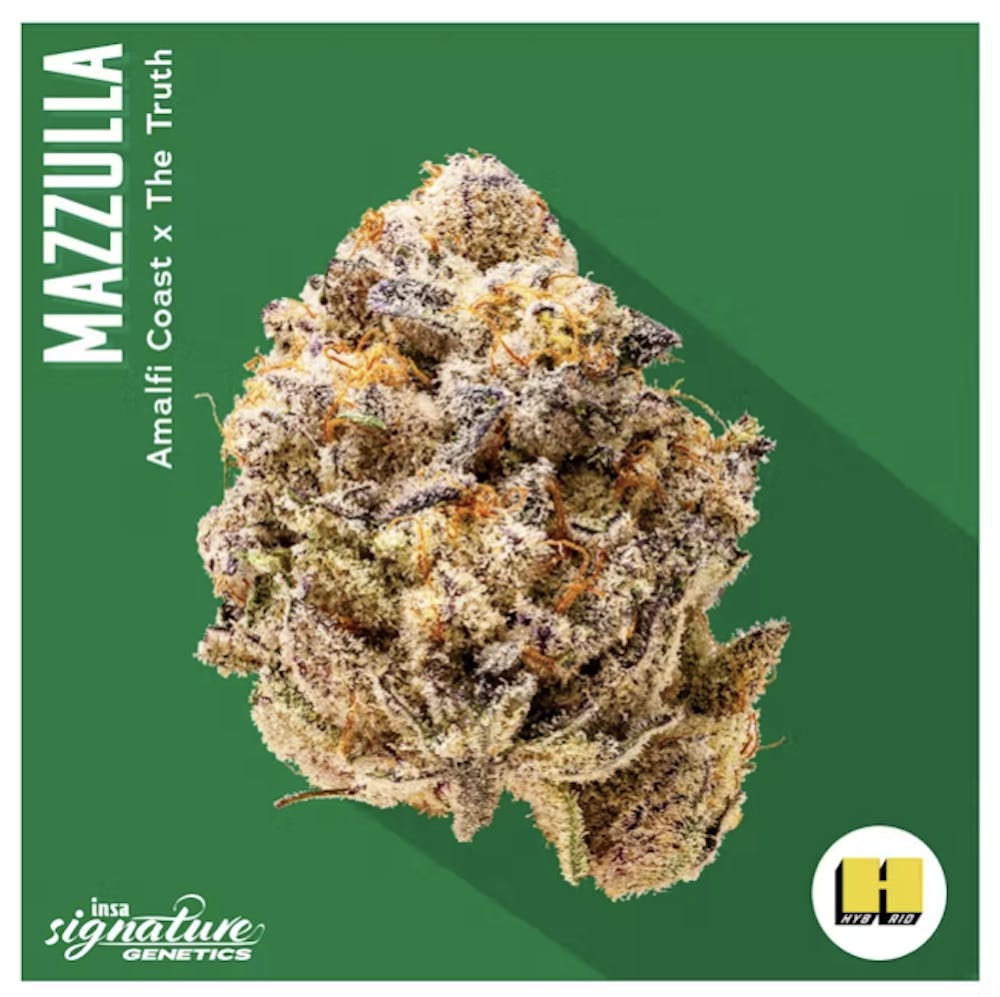 Product Mazzulla - Flower