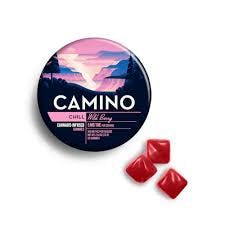 Photo of Camino Chill Wild Berry Gummies 100 mg 20pk