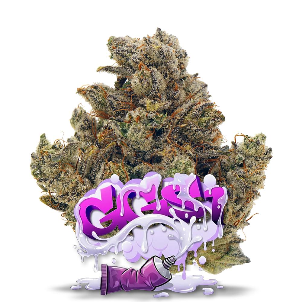 Shop GGS1 - Premium Flower in St. Petersburg | Jungle Boys