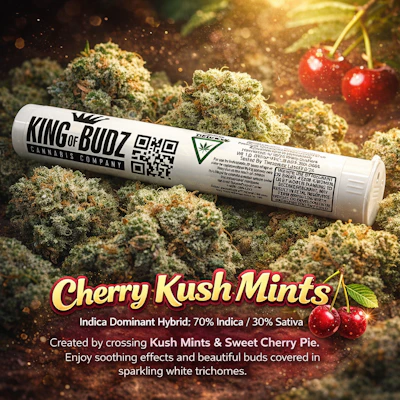 KOB - 1g Preroll - Cherry Kush Mints