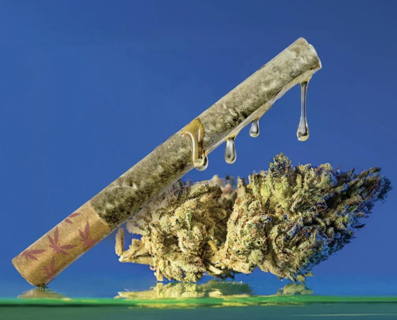 Product: Grasshopper Farms | Resin Infused Pre-Roll - 1g - Grasshopper Glue