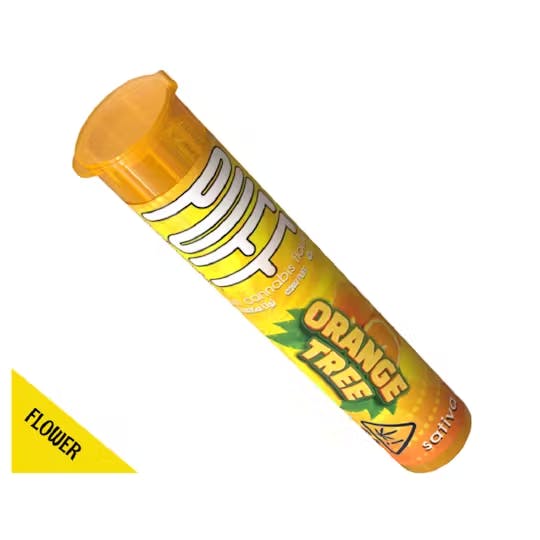 image of Orange Tree | 1g