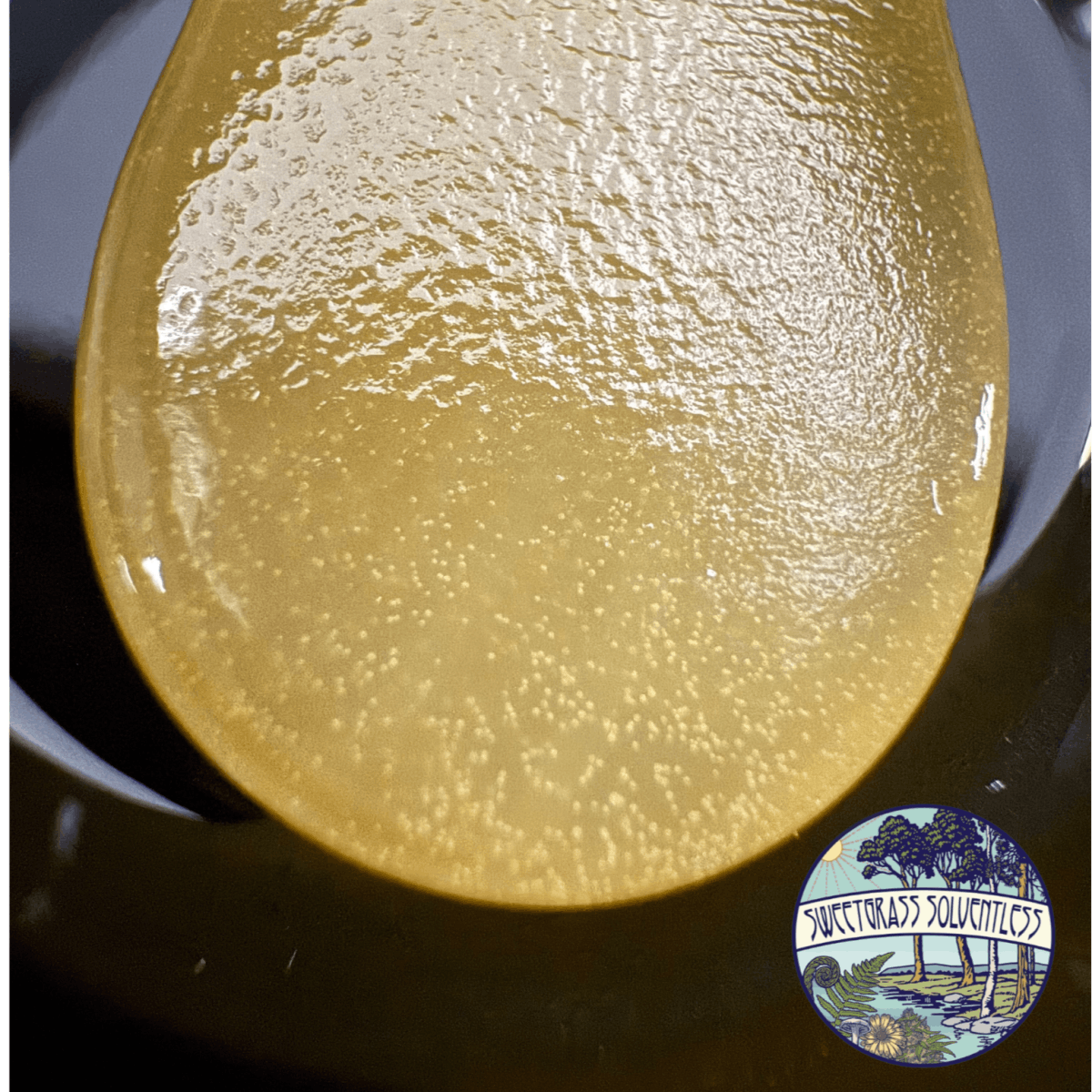 Product GMO - Fresh Press Live Rosin