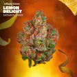 Lemon Delight