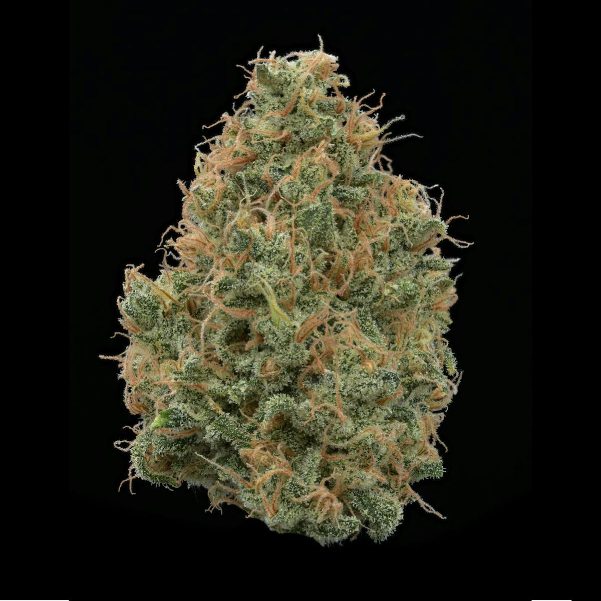 image of Blue Cheese Small Buds