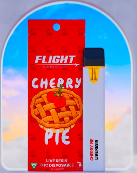 fly with disposable vape FLY main image 1