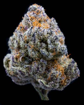 Oreoz - Nature's Roots | Lionheart Cannabis (Paradise Valley)