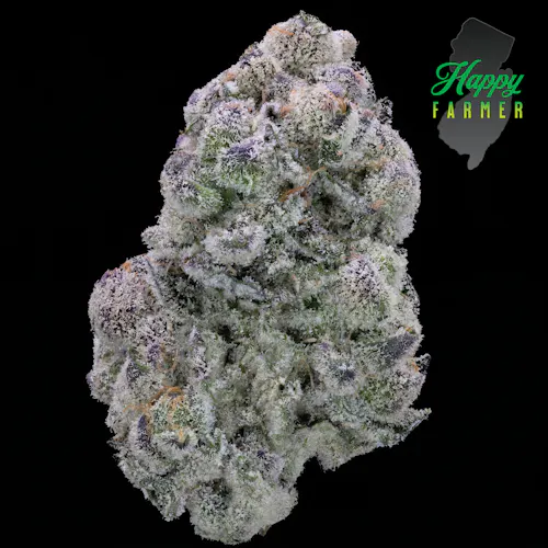 Kacklesnatch – Flower – 3.5g-active