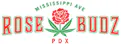 dispensary logo