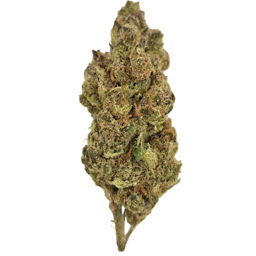 Nanticoke Lemon Cherry Gelato Flower 3.5g-1