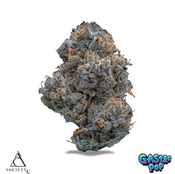 Gastro Pop | Society C