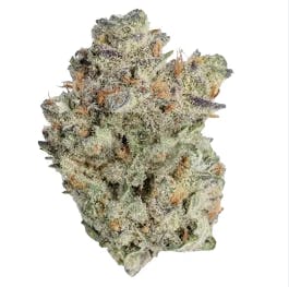 Product: Bloom Smoothie | Wojo Co