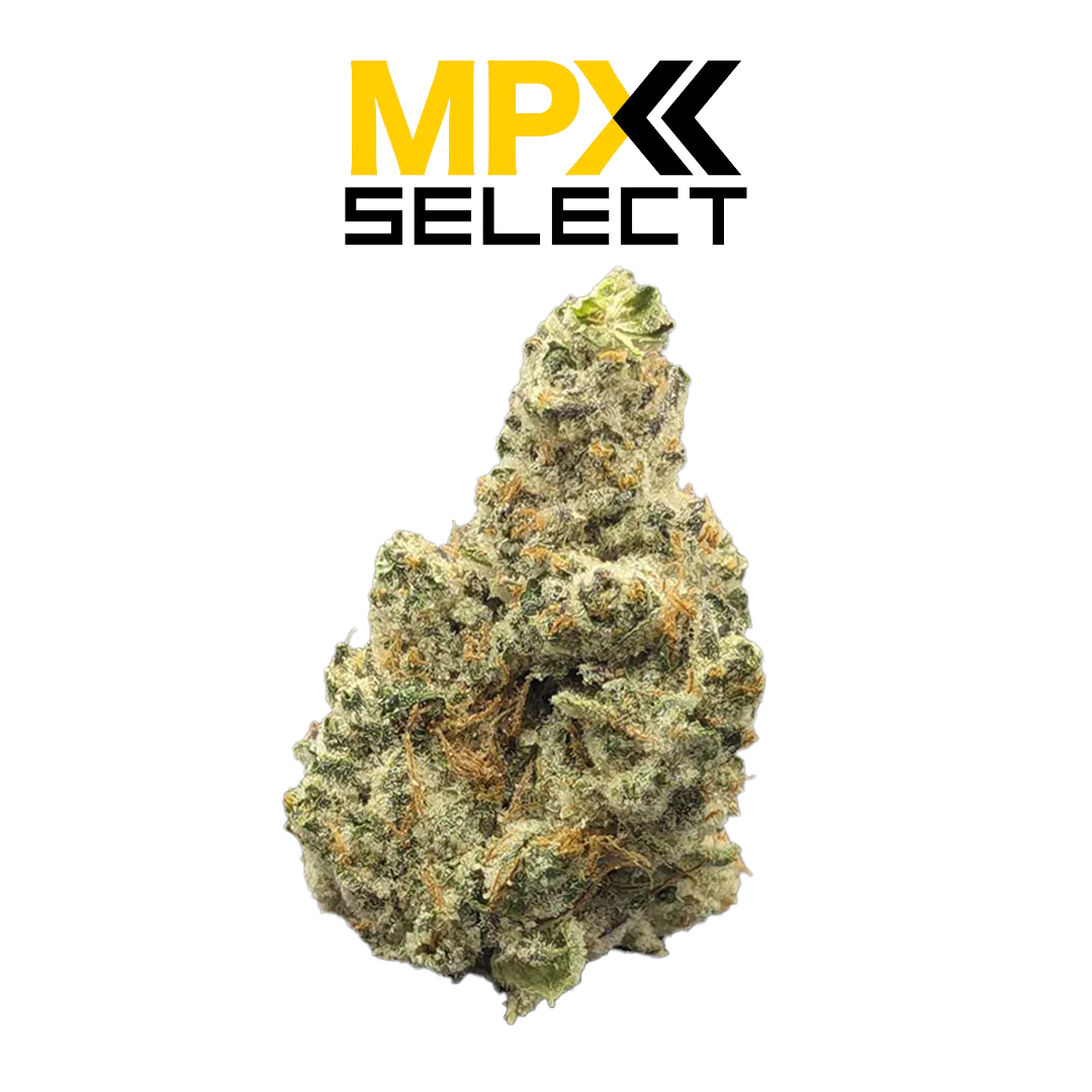 ★様　韓国イブル✨ストライプ柄オーガニッククリームベージュ215×235±5 Cannabis Dispensary in Tallahassee, FL | Open Daily