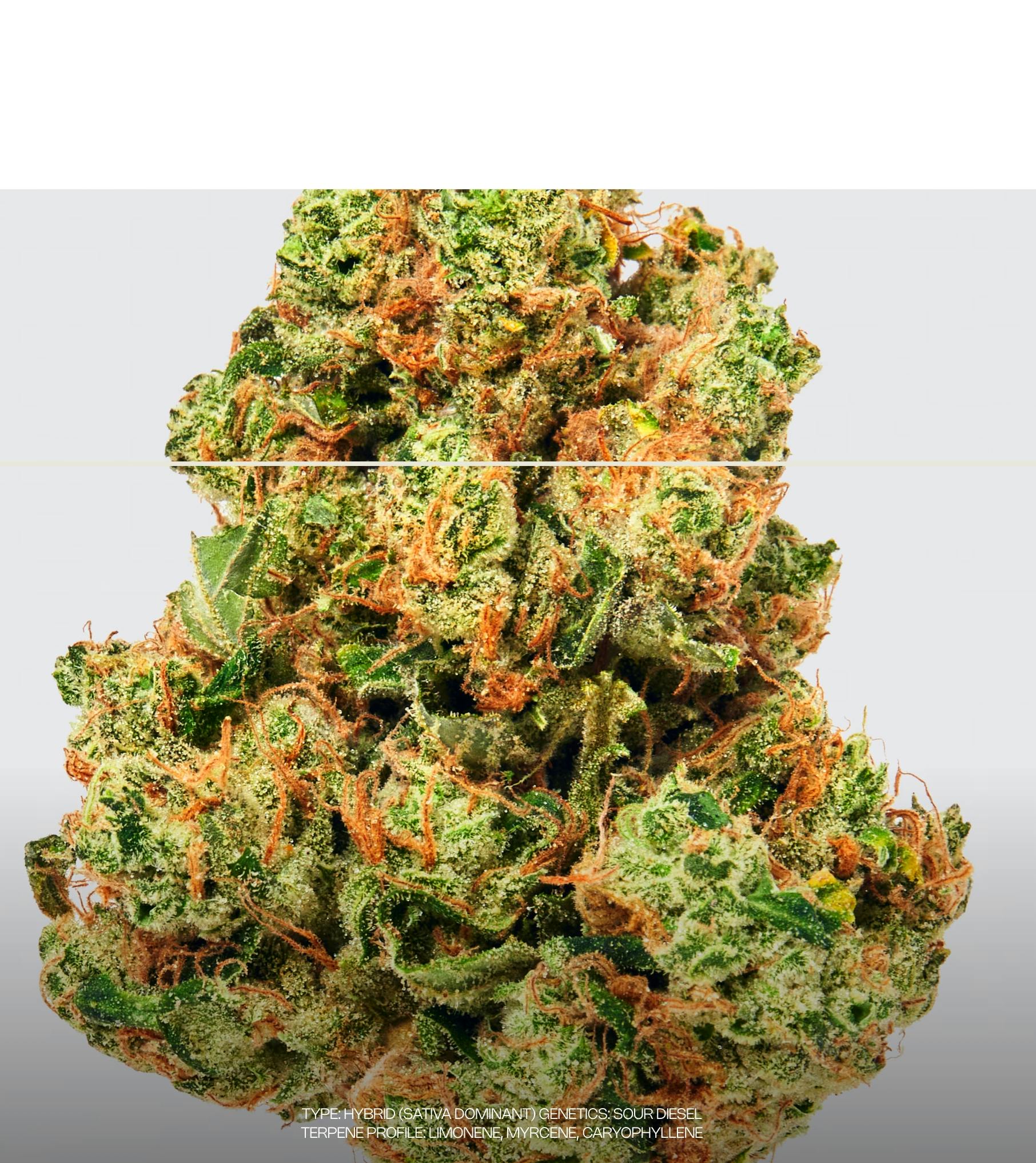 Sour Diesel | Flower | 3.5g by Dada Exotics | Buy Online