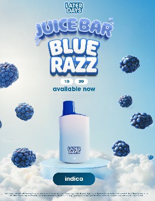 Later Days (AYR Wellness) Blue Razz | Disposable Vape | 2g