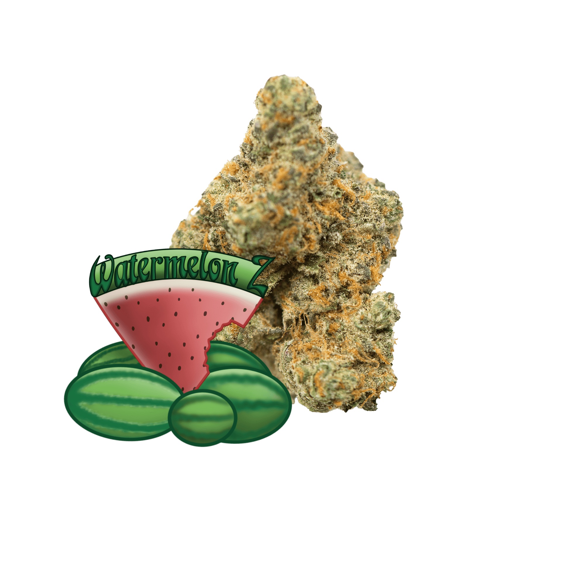 Major Bloom Watermelon Z - Major Bloom Cannabis Dispensary