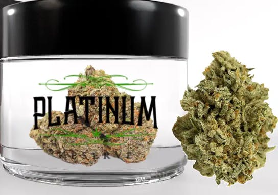Platinum Reserve | Mango Haze | 7g