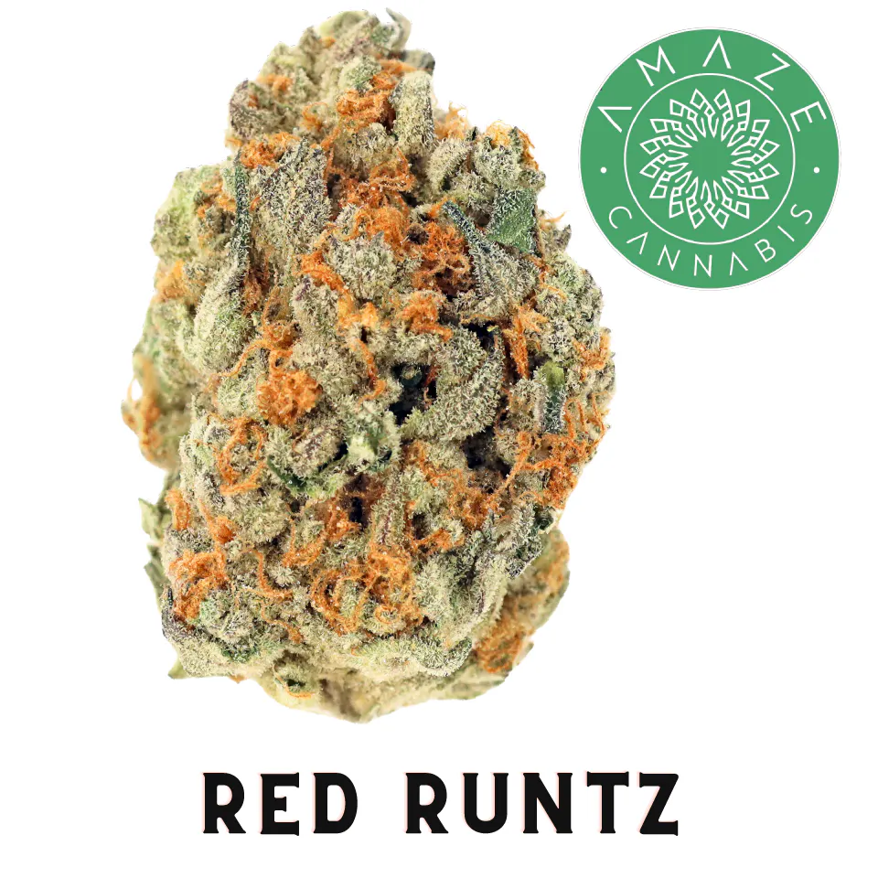 殿様クッシュ Amaze: Flower | Red Runtz | 3.5g | CODES - Sedalia (Broadway Blvd)