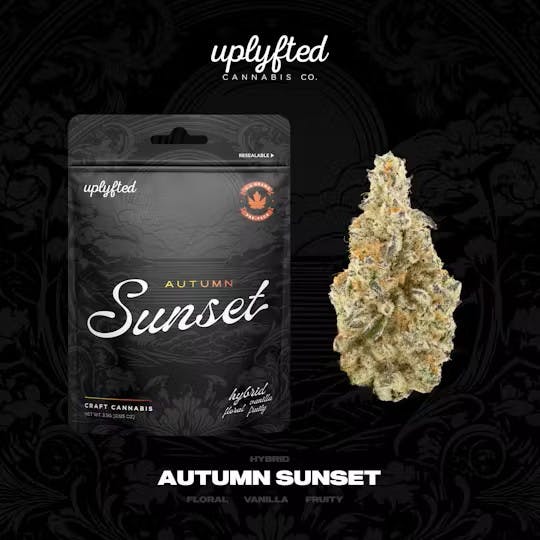 Autumn Sunset Prepack Hybrid by Uplyfted Cannabis Co. – Flower at Gatsby Cannabis