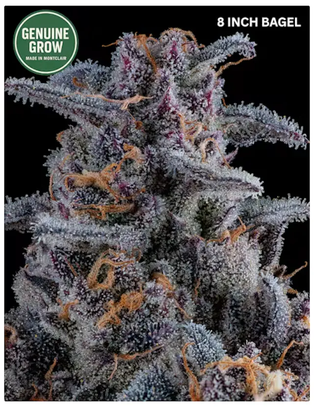 Genuine Grow Flower 8 Inch Bagel 3.5g (indica hybrid)