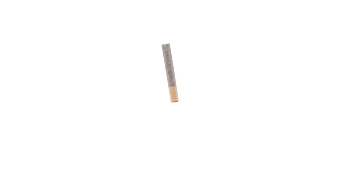 Lions Breath | Cannon Pre-Roll