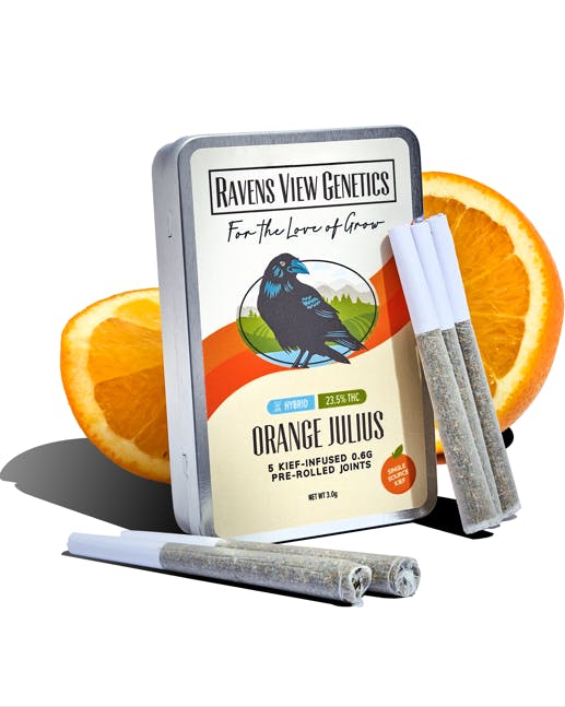 Orange Julius | Infused