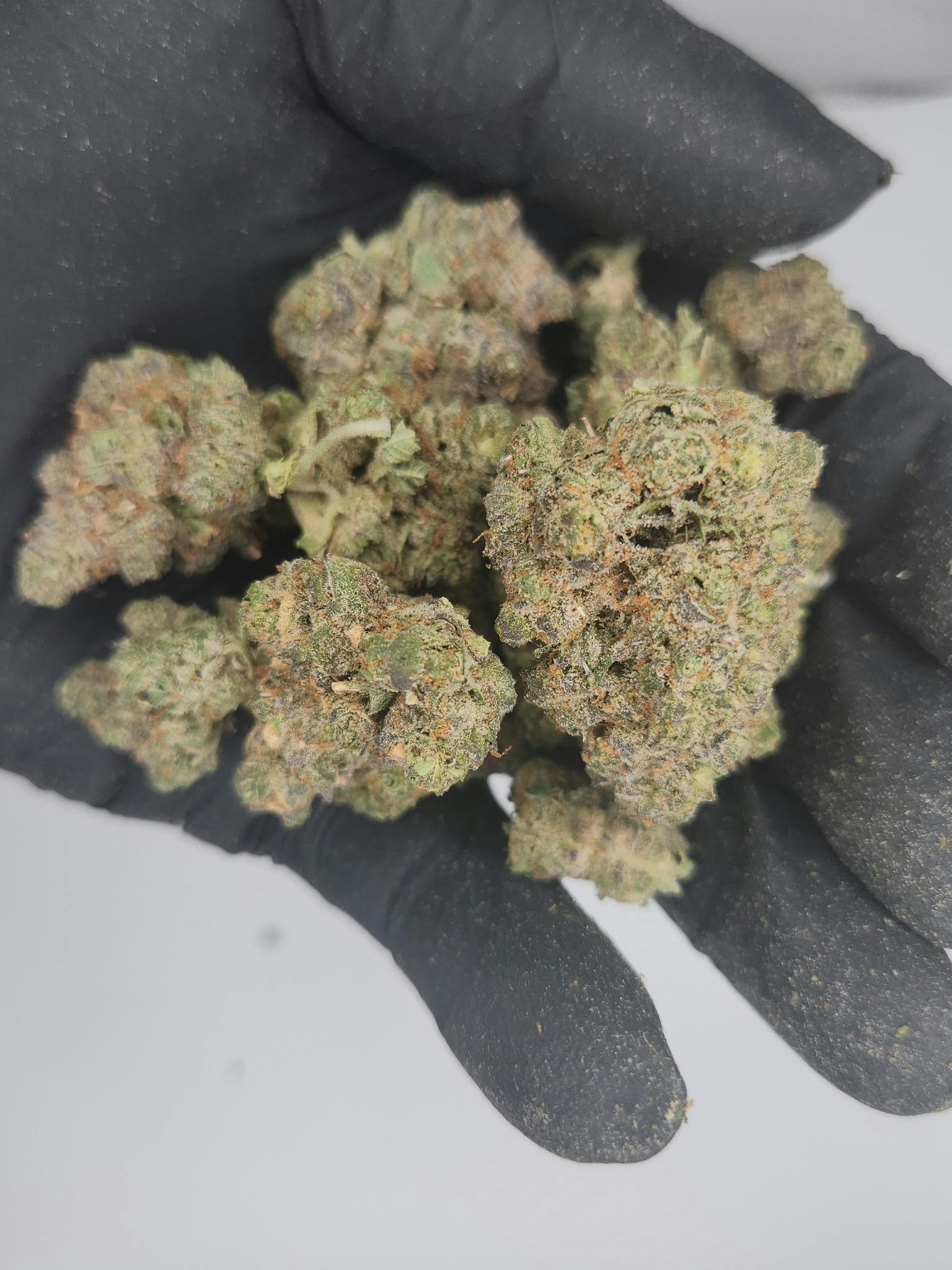 Product: Nura | Bulk Bud - Apple Fritter