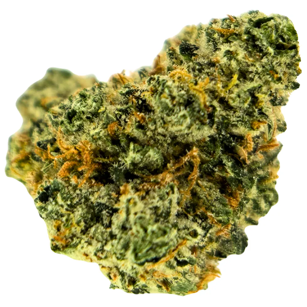 Common Citizen - OGee Crasher - Eighth | Premiere Provisions - Big
