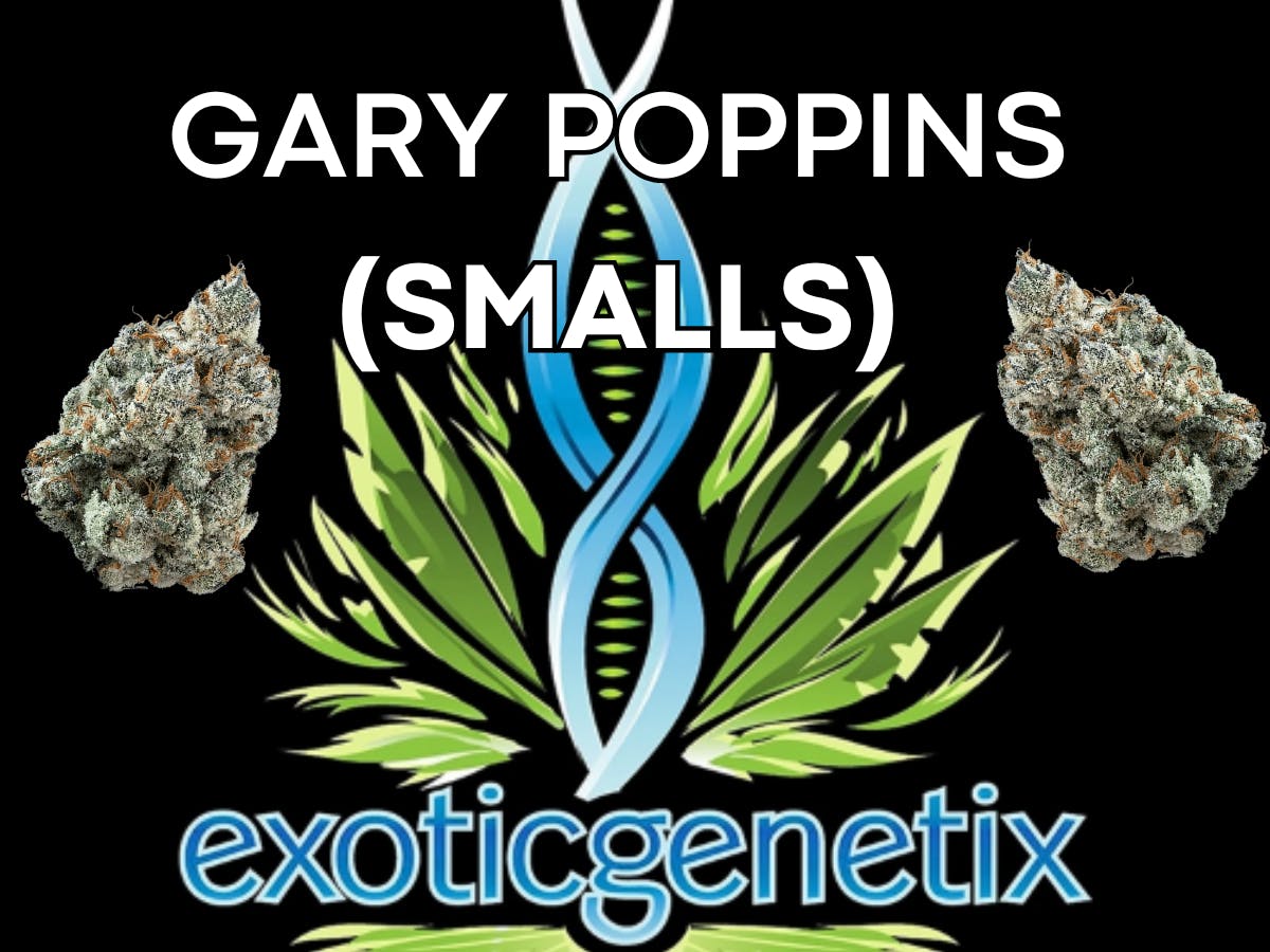 Exotic Genetix EXOTIC GENETIX | GARY POPPINS | SMALLS | BULK | HYBRID — FLOWER
