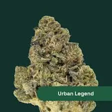 The Botanist | Flower | Urban Legend | The Phinest Buds