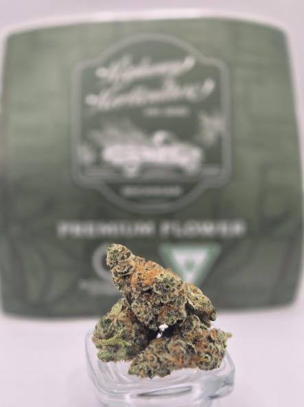 Product: Platinum Runtz | Highway Horticulture