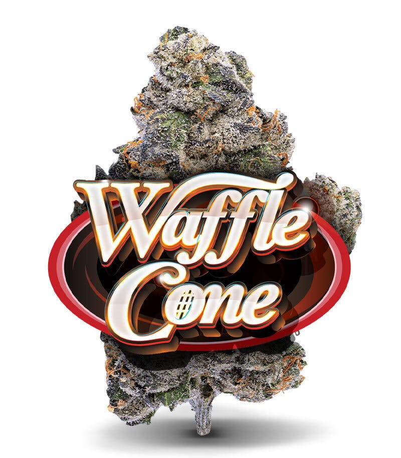 Waffle Cone - Premium Flower