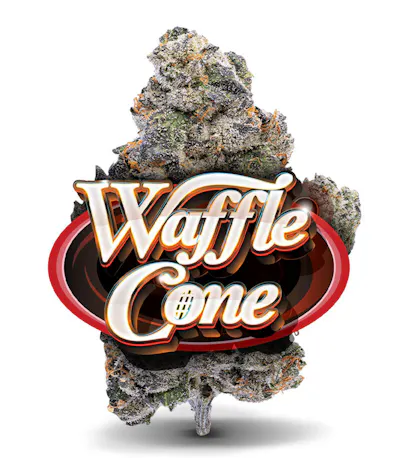 Waffle Cone - Premium Flower