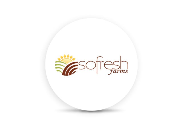Image of SoFresh Farms Jack Herer