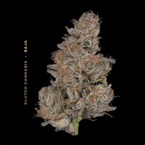 Josh D R'ntz OG | 2.83g Flower | Klutch |